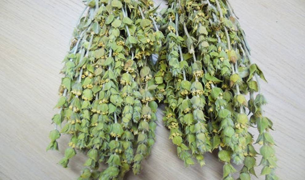 5 alternativas naturales a las cremas tradicionales que utilizas $!5 alternativas naturales a las cremas tradicionales que utilizas