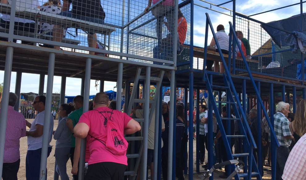 Pasamos un día en una plaza de toros con las animalistas agredidas hace un año $!Pasamos un día en una plaza de toros con las animalistas agredidas hace un año