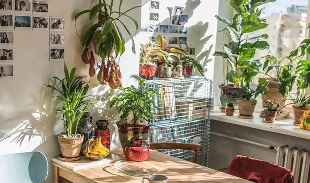 5 cambios que puedes hacerle a tu casa para superar el estrés postvacacional $!5 cambios que puedes hacerle a tu casa para superar el estrés postvacacional