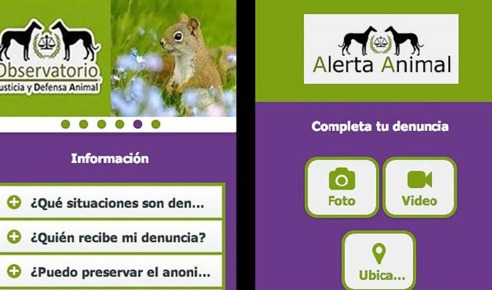 $!'Alerta Animal', La App Para Que Podamos Hacer Justicia Y Denunciar A Los Dueños Violentos