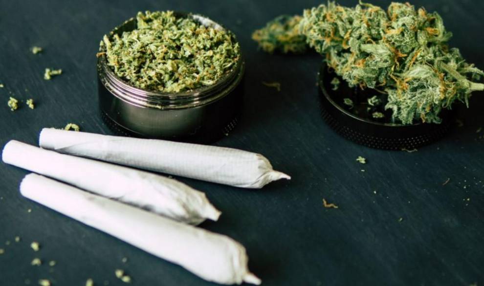 Los peligros del nuevo cannabis de alta potencia