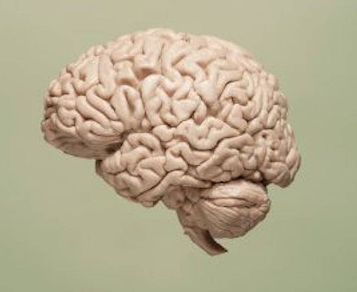 Cuando te rompen el corazón, tu cerebro es el primero en sufrirlo, image size:1200x980