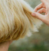 Esta es la pastilla que permite recuperar el 80% del cabello perdido