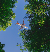 España podría tener la clave para la aviación sostenible: biomasa lignocelulósica con la que decir adiós al petróleo