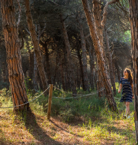 Can Camins, el bosque catalán único que solo puede visitarse diez días al año