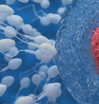 Un estudio halla microplásticos tanto en el semen como en los ovarios