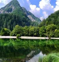 Estos son los países europeos con más kilómetros de bosque