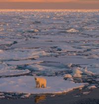 El deshielo polar pone tu salud en riesgo