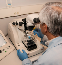 Casi la mitad de los casos de cáncer se deben a factores externos como el alcohol o el tabaco