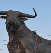 Vox quiere construir un toro de 300 metros sobre suelo público