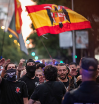 El Gobierno propone una reforma constitucional para prohibir las manifestaciones fascistas
