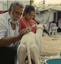 Ciudad sin sueño, la emotiva peli premiada en Cannes sobre la Cañada Real