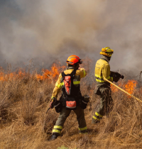 Incendios de sexta generación: fuegos que se encuentran fuera de la capacidad de extinción