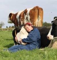 Abrazar una vaca: la nueva terapia mindfulness