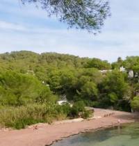 Pagar 350 euros por vivir en un trozo de bosque en Ibiza