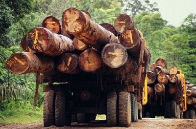 $!Por Qué Los Consumidores Europeos Financiamos La Guerra Centroafricana