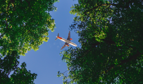 España podría tener la clave para la aviación sostenible: biomasa lignocelulósica con la que decir adiós al petróleo