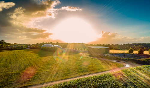 Biometano:el viaje de la ganadería a la descarbonización del sector