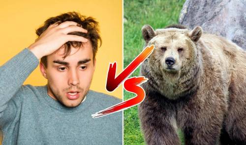 El ‘trend’ del oso: qué es y por qué se usa en TikTok para hablar de violencia machista