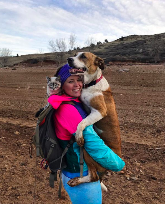 $!Las fotos y la historia de este perro y este gato viajando juntos te van a enamorar