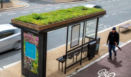 Reino Unido transforma sus paradas de autobús en jardines para abejas y mariposas
