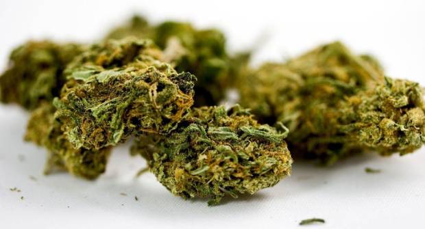 $!Los 5 mitos sobre la marihuana que deberías replantearte