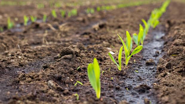 $!Biometano:el viaje de la ganadería a la descarbonización del sector