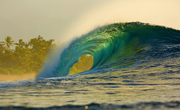 $!Zak Noyle: Congelemos El Pacífico