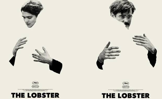 $!the lobster, langosta, soltero, amor codigo nuevo