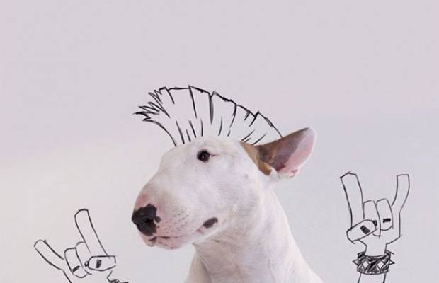 $!Cuando su novia le dejó, de llevó todo menos a su perro, y ahora son famosos