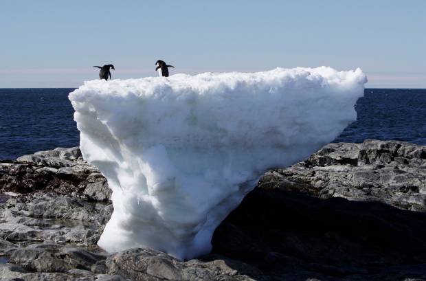 $!Two Adelie penguins stand atop a block of melting ice on a rocky shoreline at Cape Denison, Commonwealth Bay, in East Antarctica January 1, 2010. Russia and the Ukraine on November 1, 2013 again scuttled plans to create the world's largest ocean sanctuary in Antarctica, pristine waters rich in energy and species such as whales, penguins and vast stocks of fish, an environmentalist group said. The Commission for the Conservation of Antarctic Marine Living Resources wound up a week-long meeting in Hobart, Australia, considering proposals for two marine protected areas aimed at conserving the ocean wilderness from fishing, drilling for oil and other industrial interests. Picture taken January 1, 2010. To match story ANTARCTIC-ENVIRONMENT/ REUTERS/Pauline Askin (ANTARCTICA - Tags: ENVIRONMENT POLITICS ANIMALS) - RTX14WAT