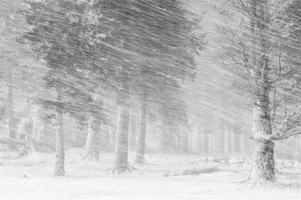 $!nieve-foto-codigo-nuevo
