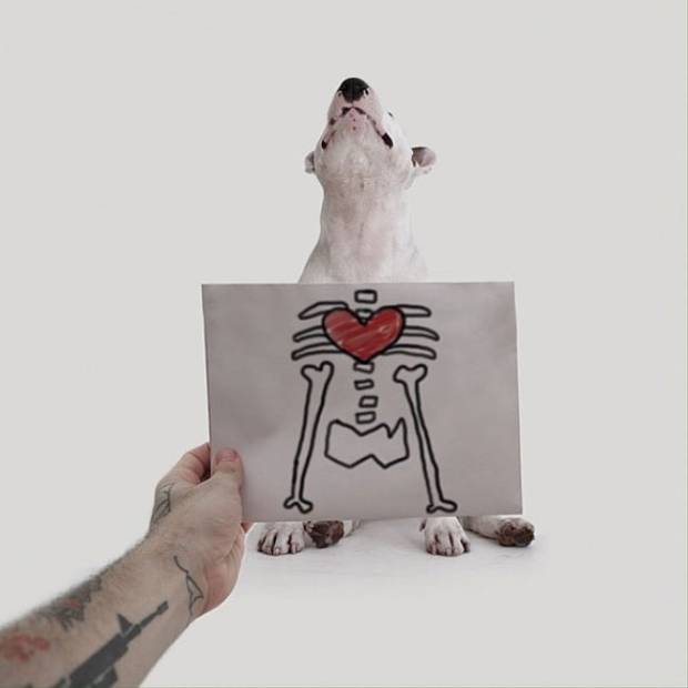 $!Cuando su novia le dejó, de llevó todo menos a su perro, y ahora son famosos