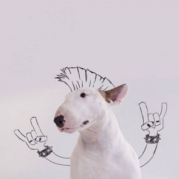 $!Cuando su novia le dejó, de llevó todo menos a su perro, y ahora son famosos
