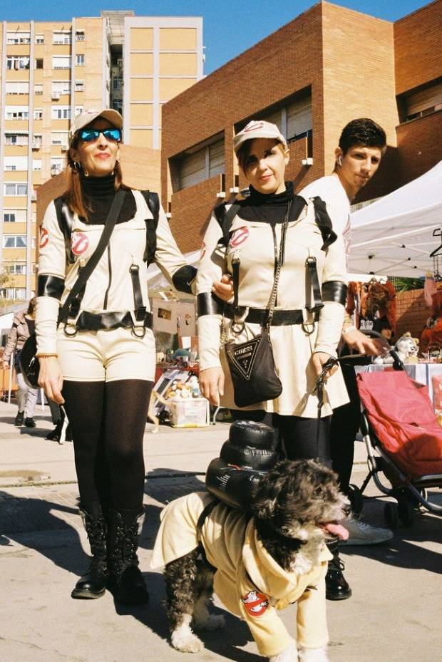 $!Estas señoras visten a sus perros con disfraces para niños