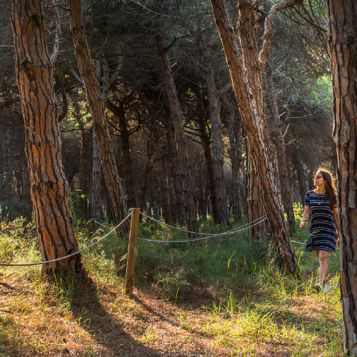 Can Camins, el bosque catalán único que solo puede visitarse diez días al año