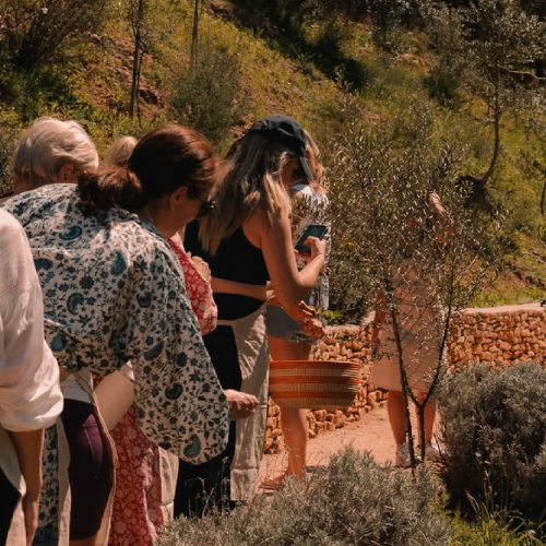 Mi experiencia en un retiro para bajar el ritmo (y los learnings que me llevé)