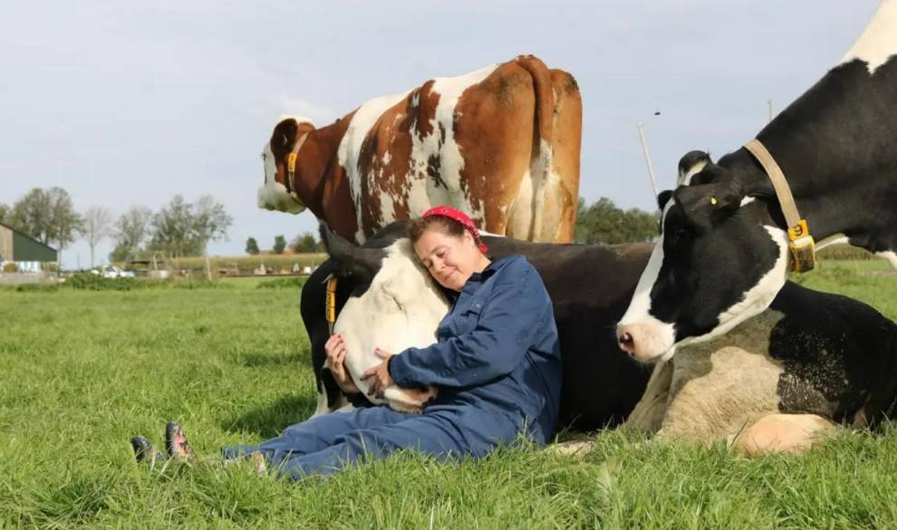 Abrazar una vaca: la nueva terapia mindfulness