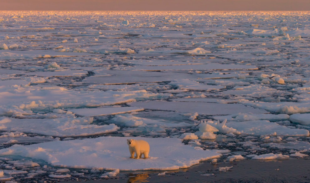 El deshielo polar pone tu salud en riesgo