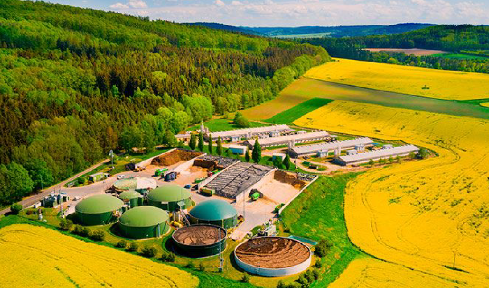 ¿Pueden los purines generar empleo local en las zonas rurales?