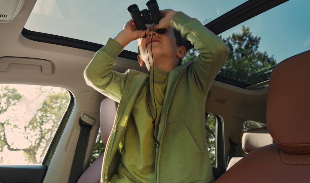 Reivindicar la curiosidad es un acto revolucionario