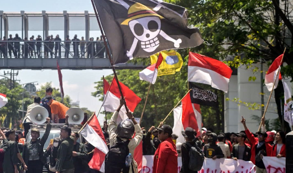 La bandera de One Piece que se ha convertido en símbolo de la rebelión Z