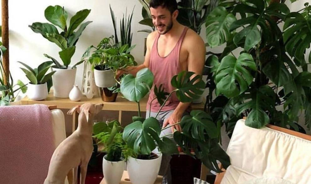 Decorar tu casa con plantas exóticas se está cargando el ecosistema