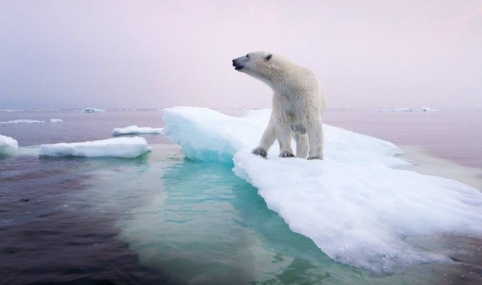 Hablamos con dos expertos sobre los argumentos que niegan el cambio climático