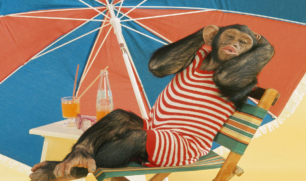 Los 5 Personajes Que Intentarás Evitar En La Playa