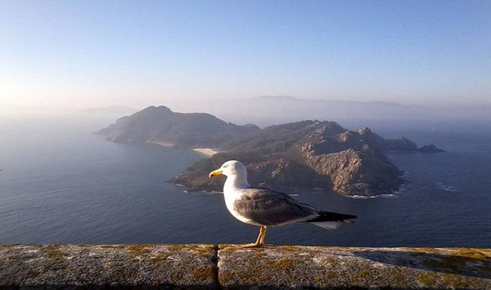 6 Lugares A Los Que Ir Para Disfrutar De La Naturaleza