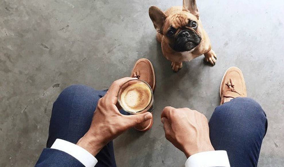 Empresas Dog Friendly: Los Beneficios Comprobados De Llevar Tu Perro Al Trabajo