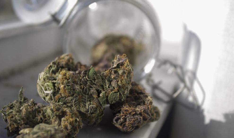 La droga que también se extrae del cannabis pero es 100% legal
