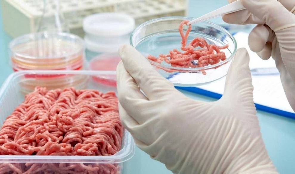 Esta empresa comercializará carne de laboratorio para combatir la crisis alimenticia