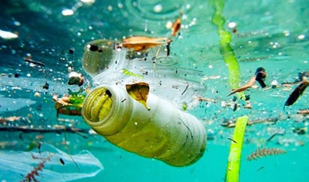 Los Océanos Del Mundo Tendrán En 2050 Más Plástico Que Peces